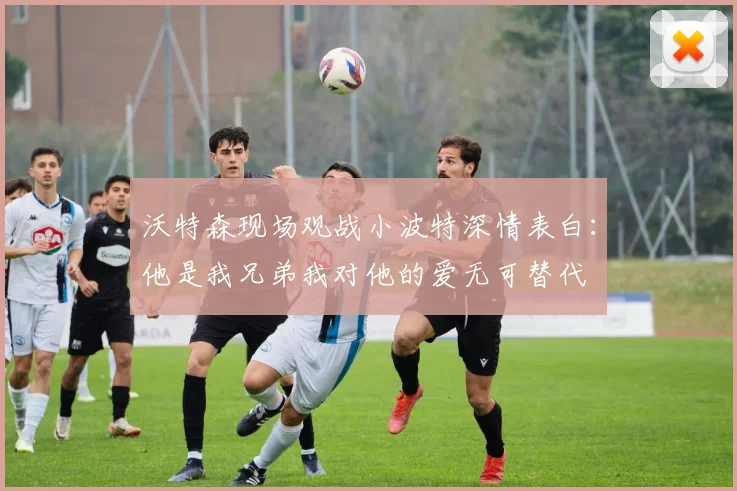 沃特森现场观战小波特深情表白：他是我兄弟我对他的爱无可替代