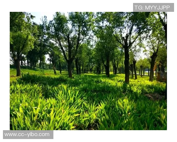 布朗尼感慨今日球迷热情超乎想象期待未来表现更精彩